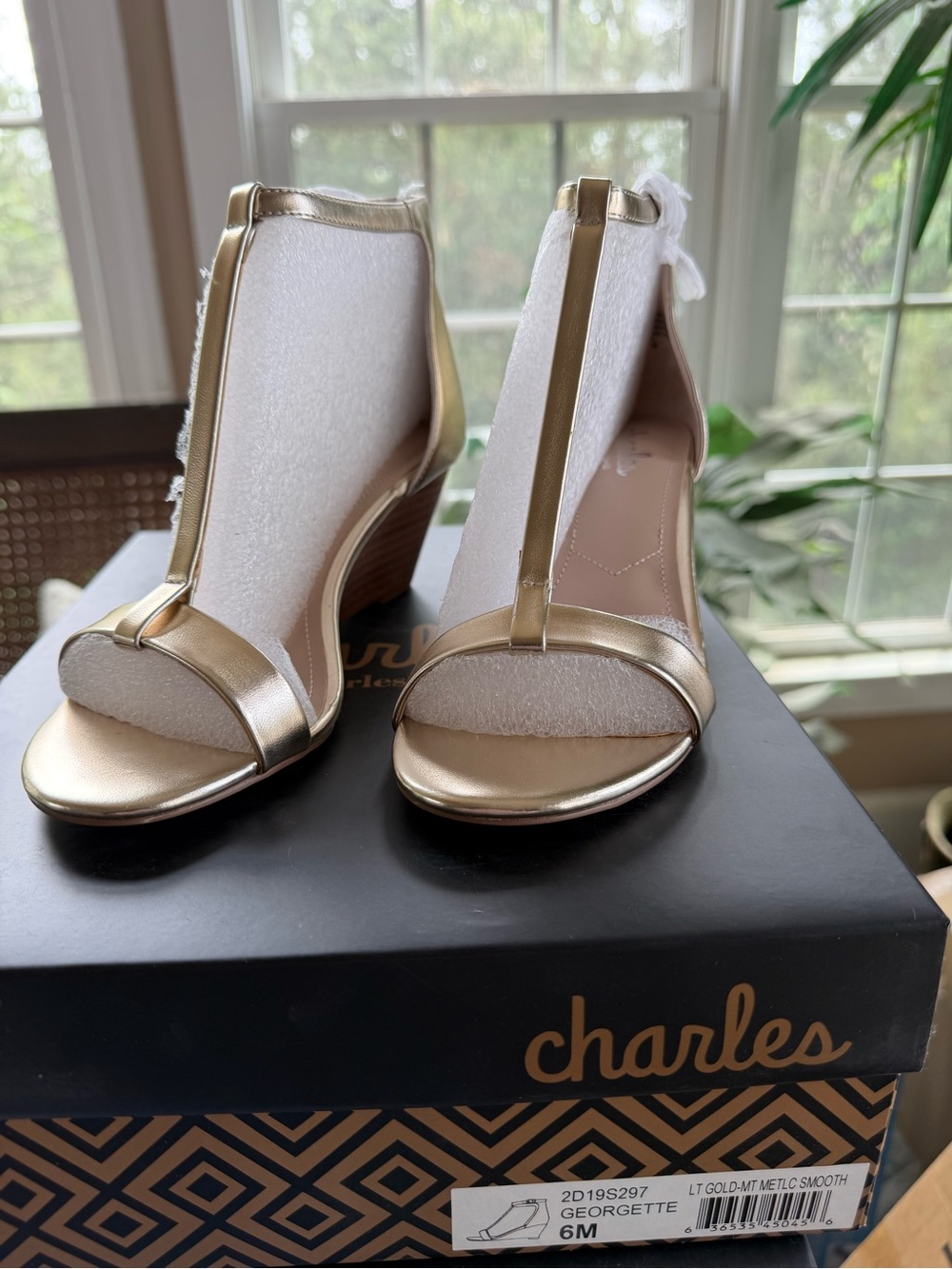 Charles by Charles David Metallic Gold T-Strap Wedge Sandals